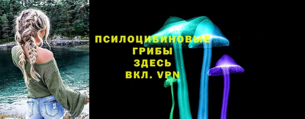 ПСИЛОЦИБИНОВЫЕ ГРИБЫ Абаза